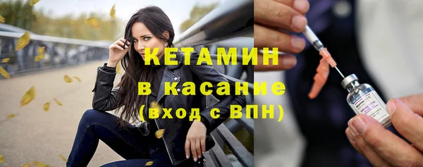 сатива Армянск