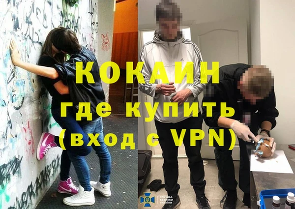 сатива Армянск